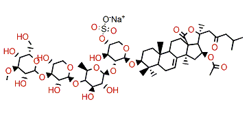 Okhotoside A1-1